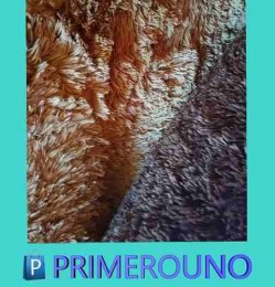alfombra-blanca-piel-sintet-moderna-pelo-largo-2-x-24